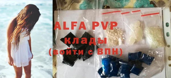 стафф Алексин