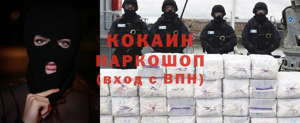 стафф Алексин
