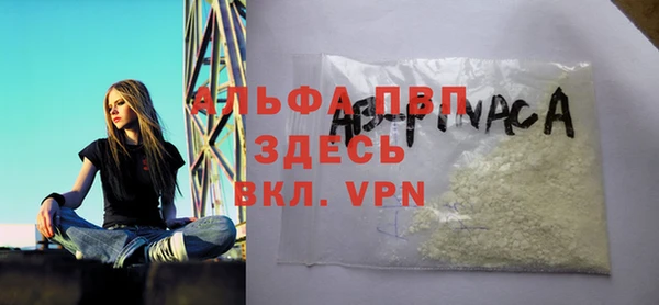 стафф Алексин